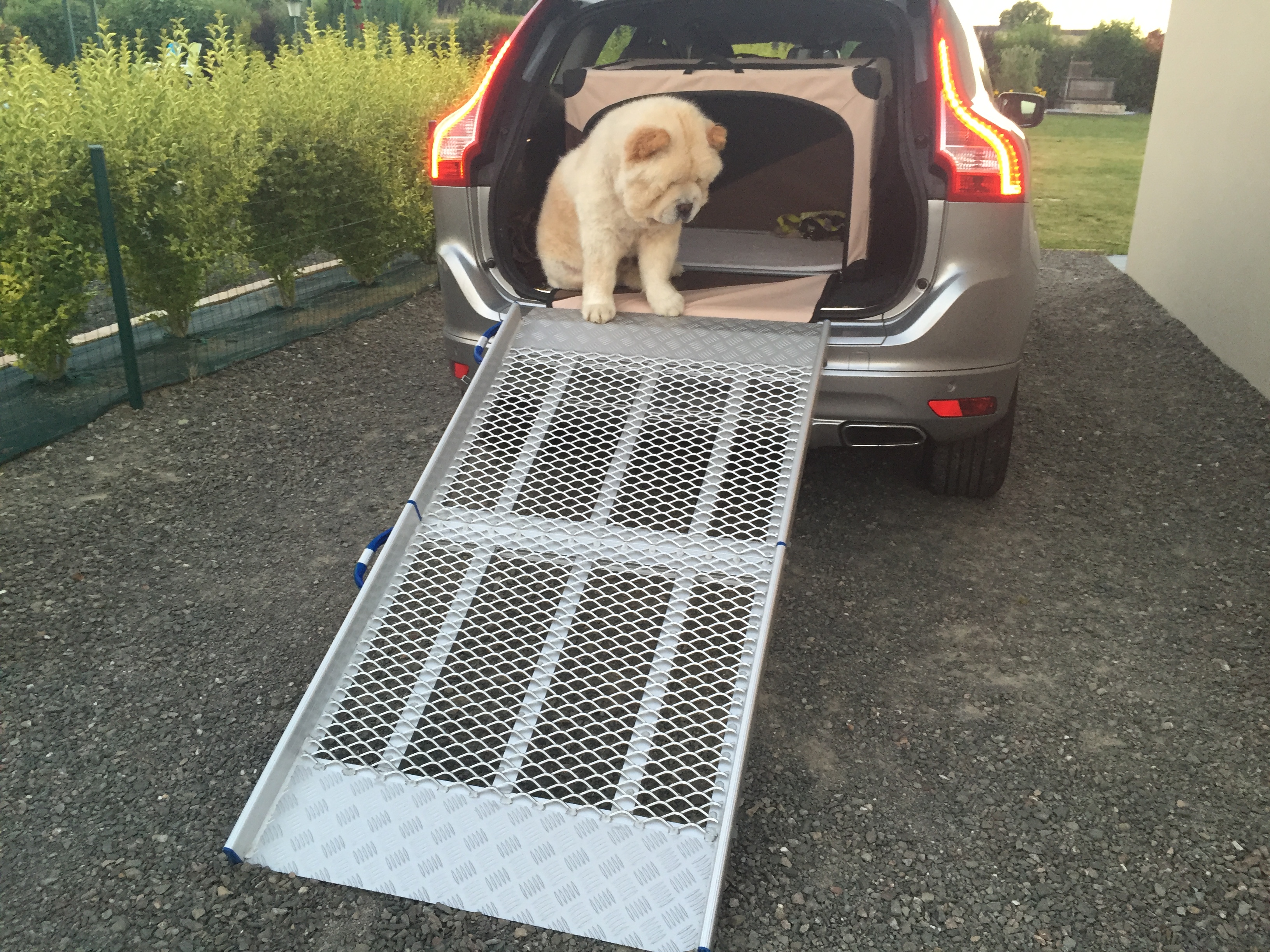 Rampe d'accès aluminium pour gros chien